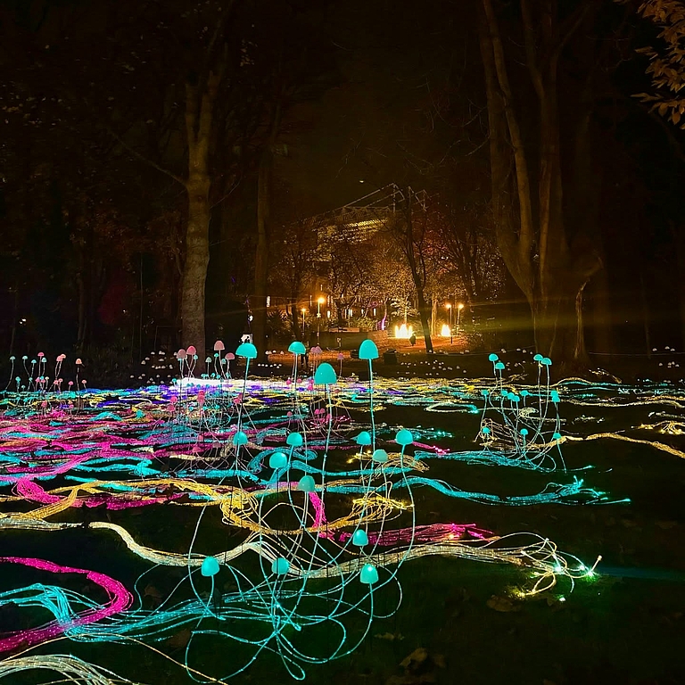Custom Fibre Optics