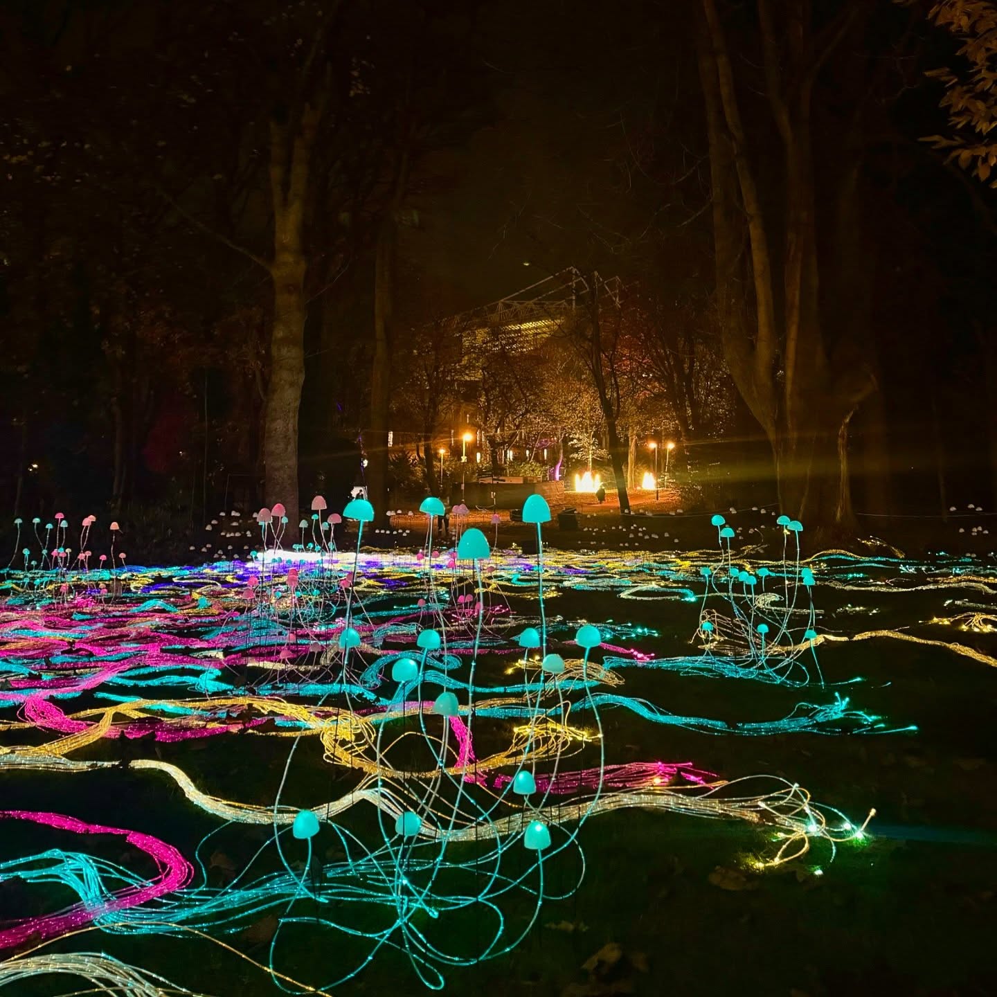 Custom Fibre Optics